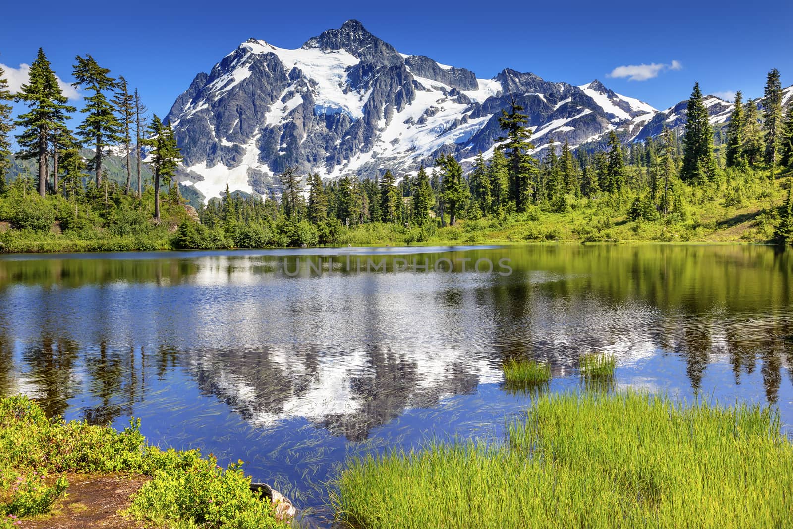 Picture Lake Evergreens Mount Shuksan Mount Baker Highway Snow Mountain Trees Washington Pacific Northwest USA

