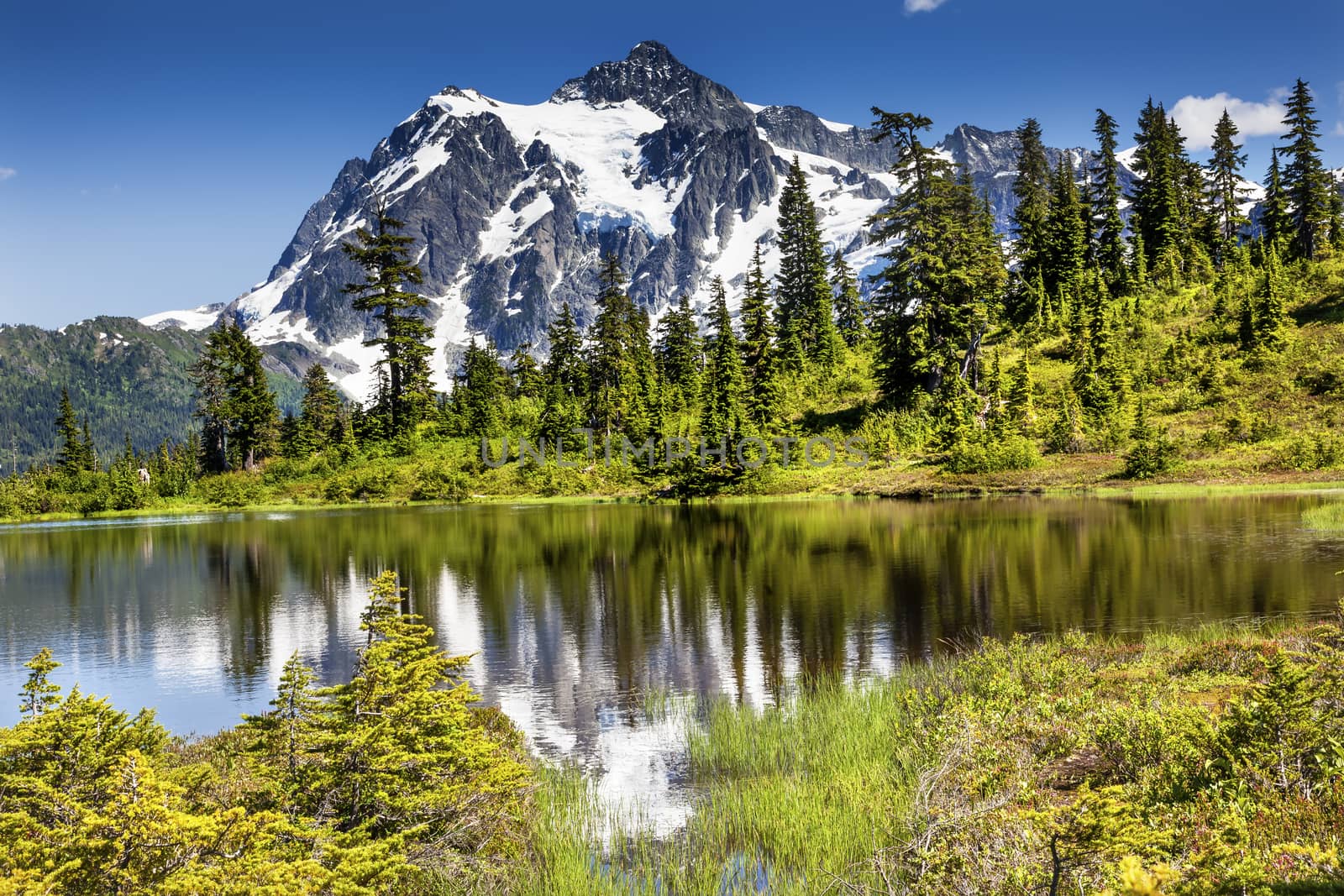 Picture Lake Evergreens Mount Shuksan Mount Baker Highway Snow Mountain Trees Washington Pacific Northwest USA

