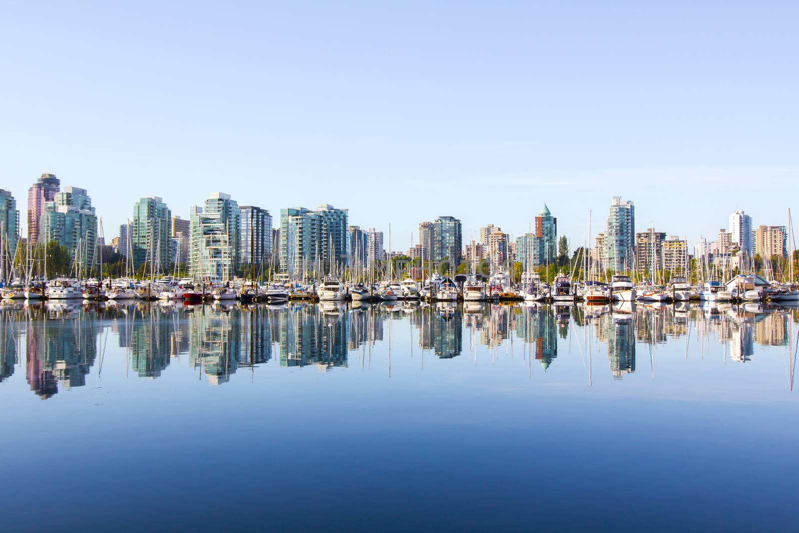 Panoramic view of Vancouver skyline as seen from Stanley Park, BC, Canada
