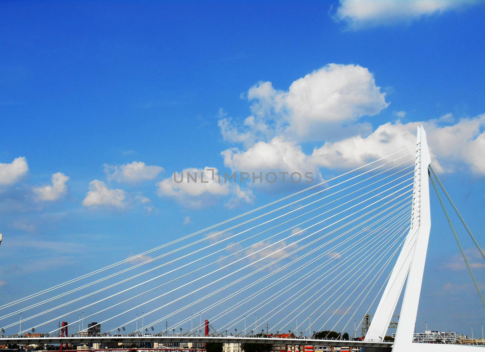 Close up view of Erasmus bridge (Erasmusbrug), Rotterdam, The Netherlands.

Picture taken on August 27, 2013.