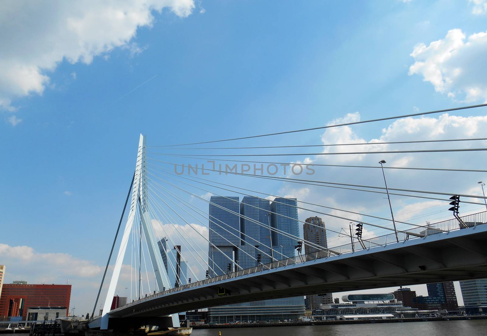 Close up view of Erasmus bridge (Erasmusbrug), Rotterdam, The Netherlands.

Picture taken on August 27, 2013.