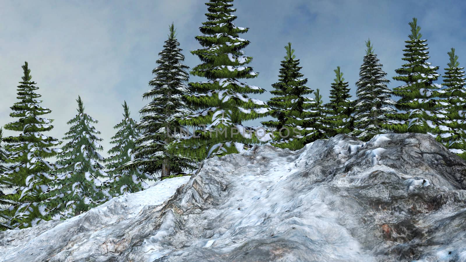 Winter mountain landscape with fir trees and cloudy blue sky