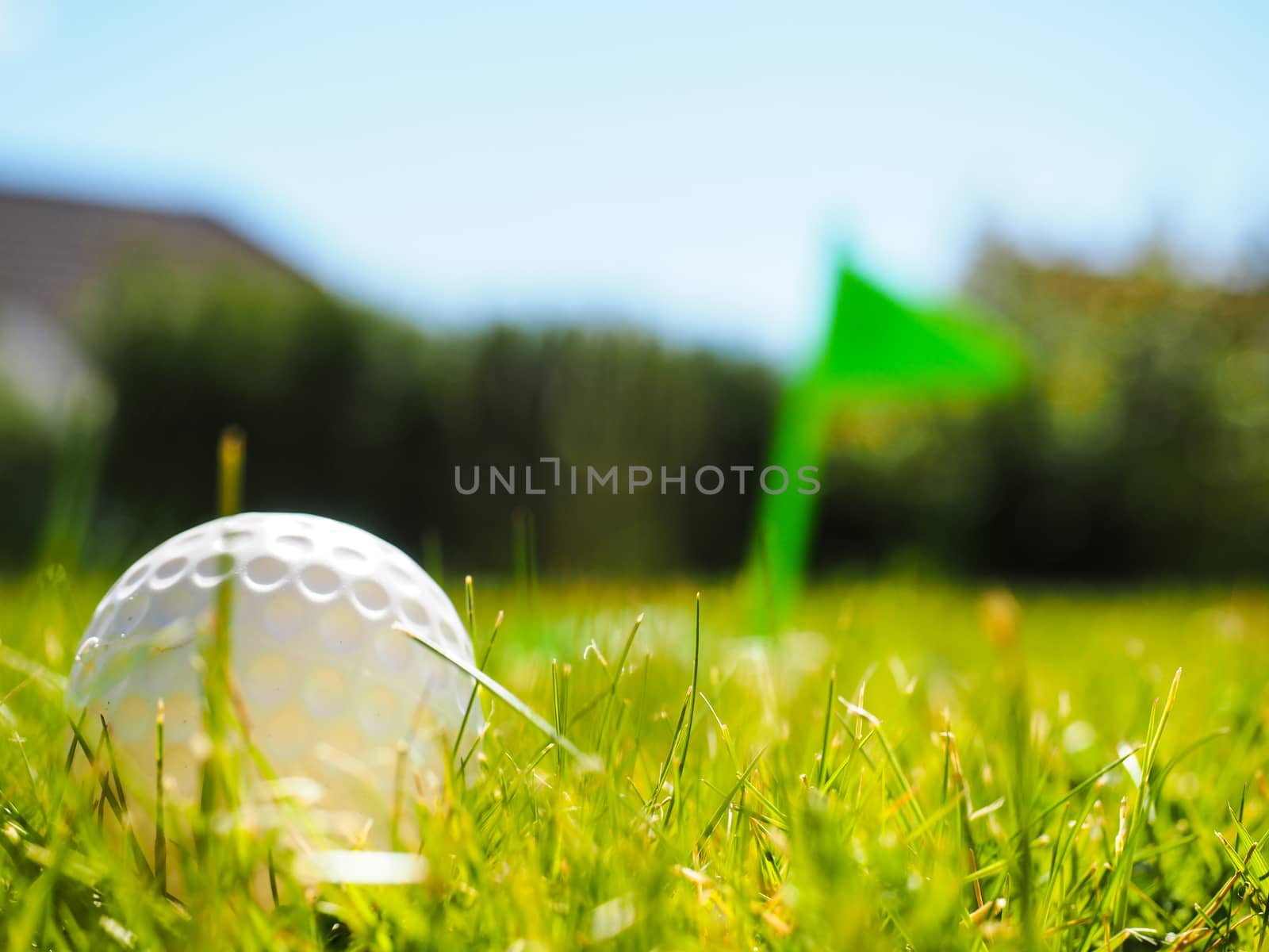 Golf ball laying in rough green grass by Arvebettum