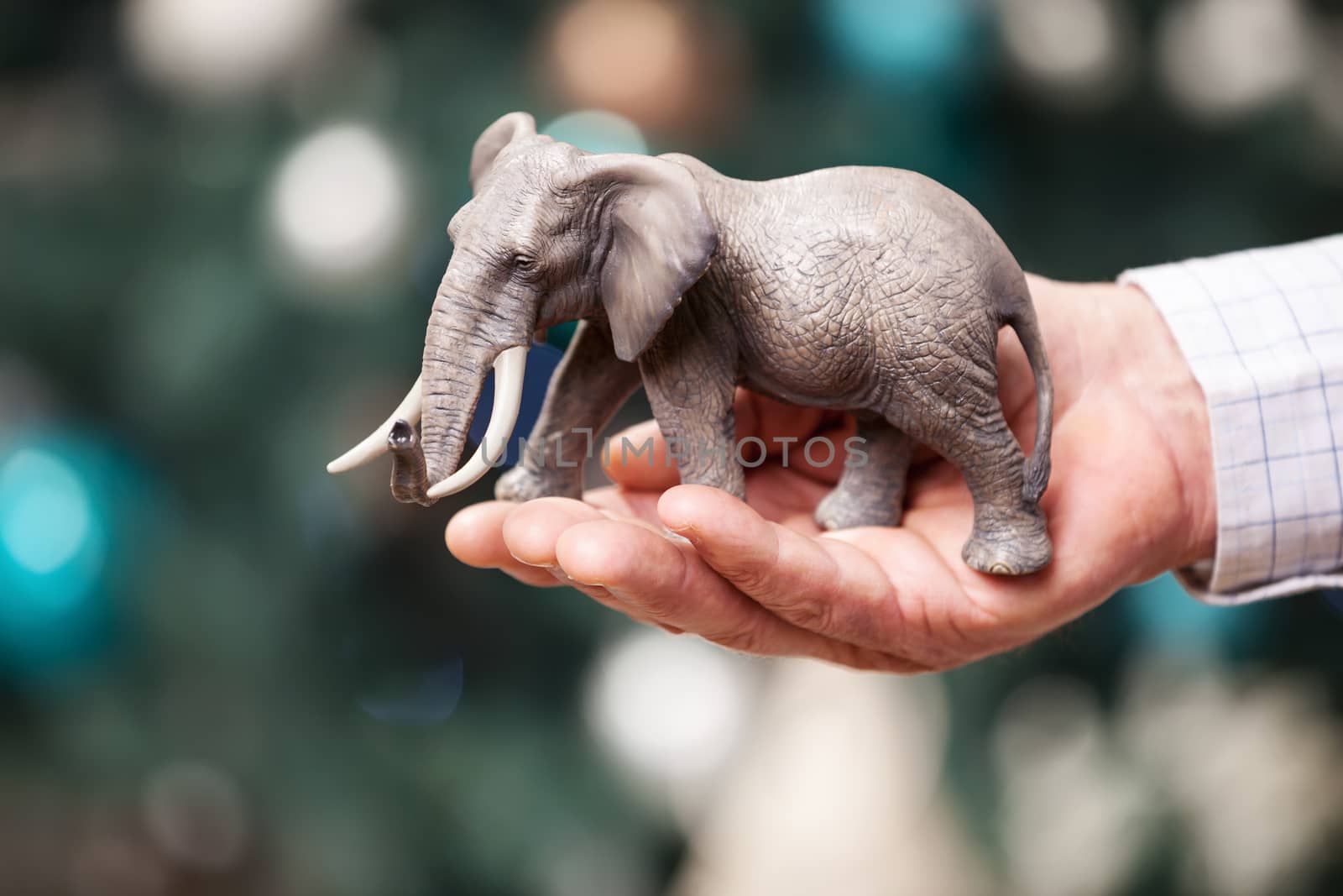 Male hand with toy elephant over Christmas background