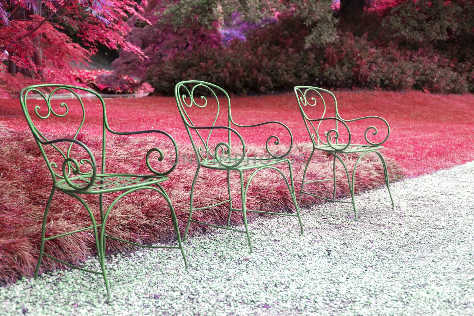 three chairs and lawn red background