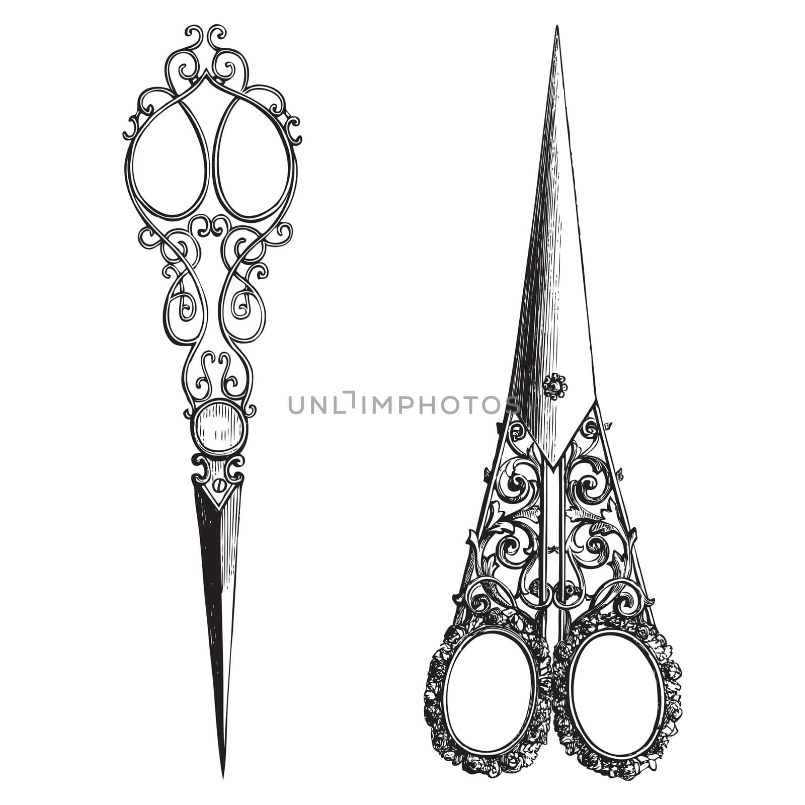 Ancient style engraving of two vintage ornate scissors