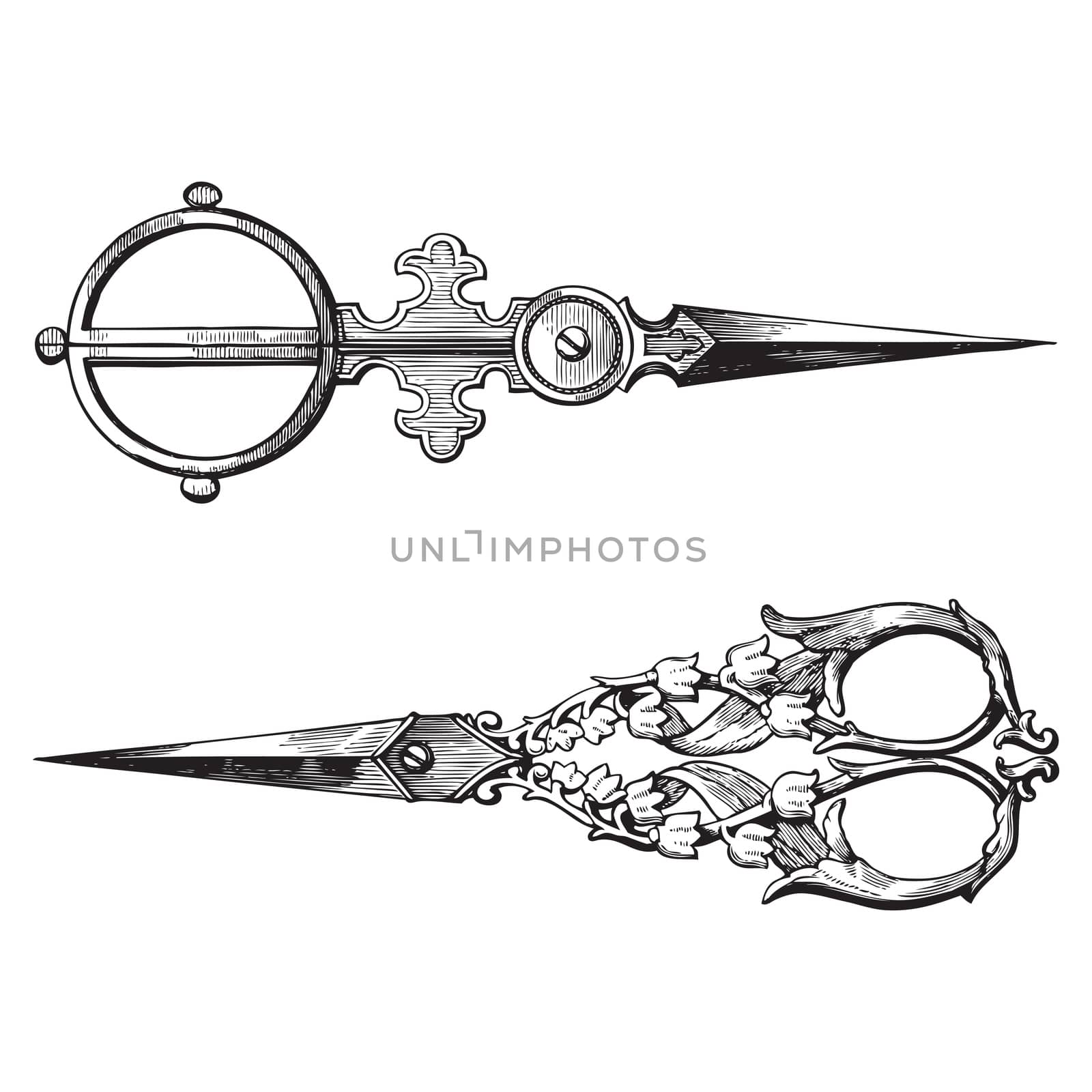 Ancient style engraving of two vintage ornate scissors