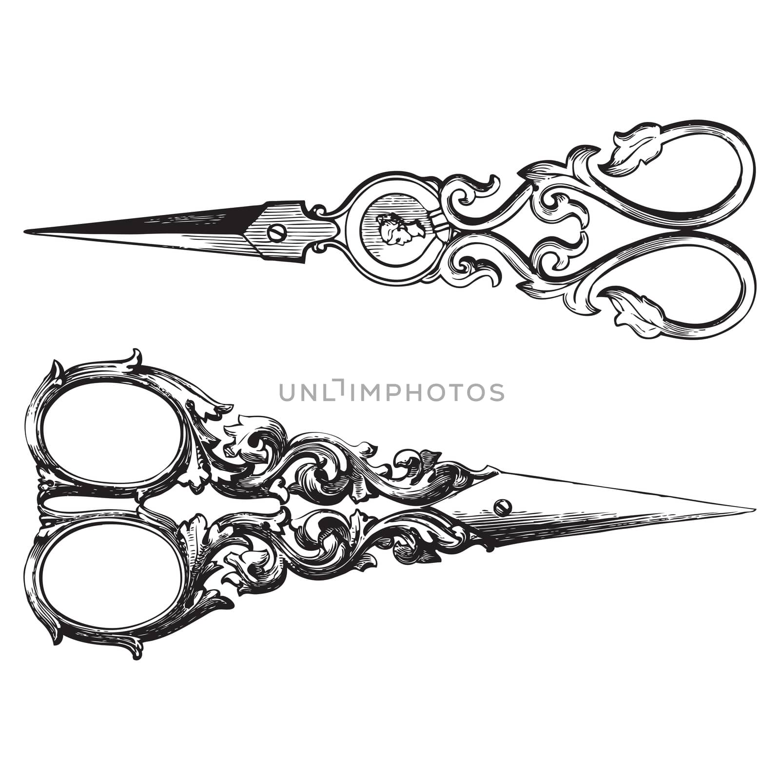 Ornate scissors by HypnoCreative