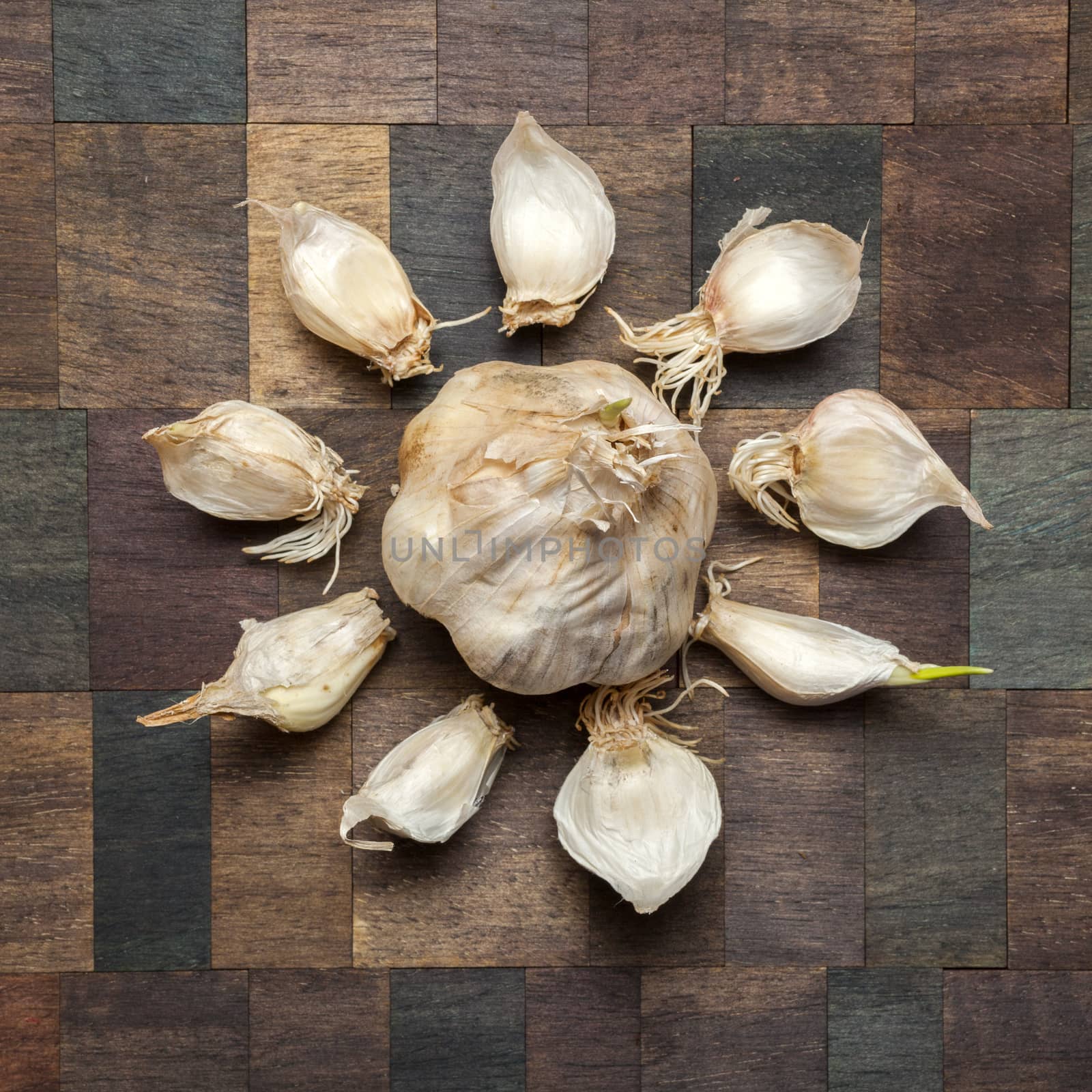 Garlic by Portokalis