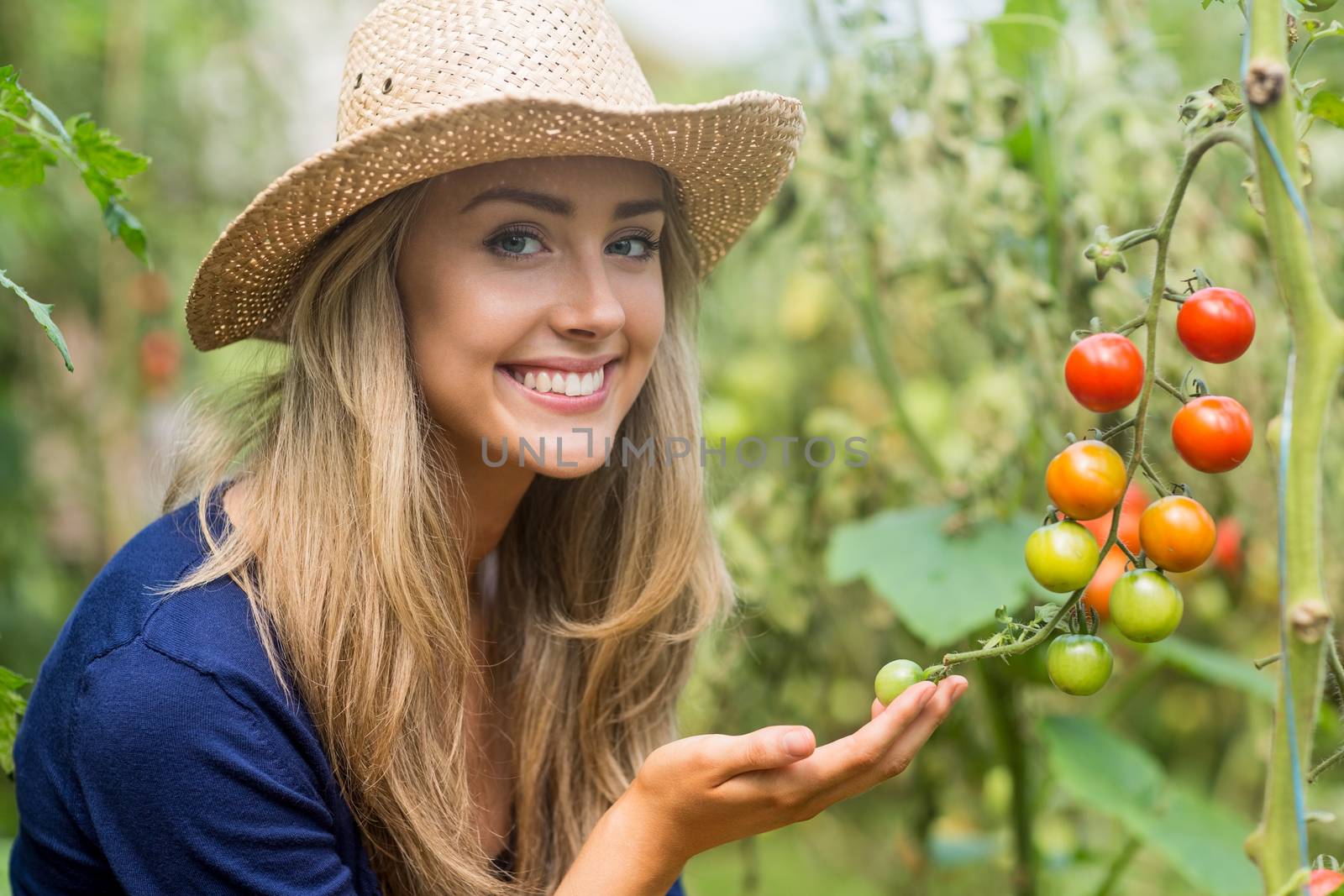Pretty blonde looking at tomato plant by Wavebreakmedia