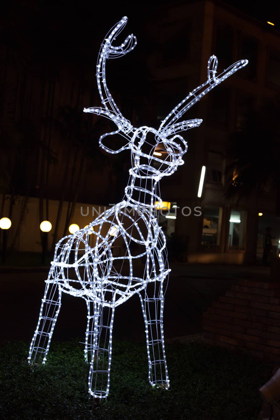 Glowing reindeer made of wire and light bulbs .