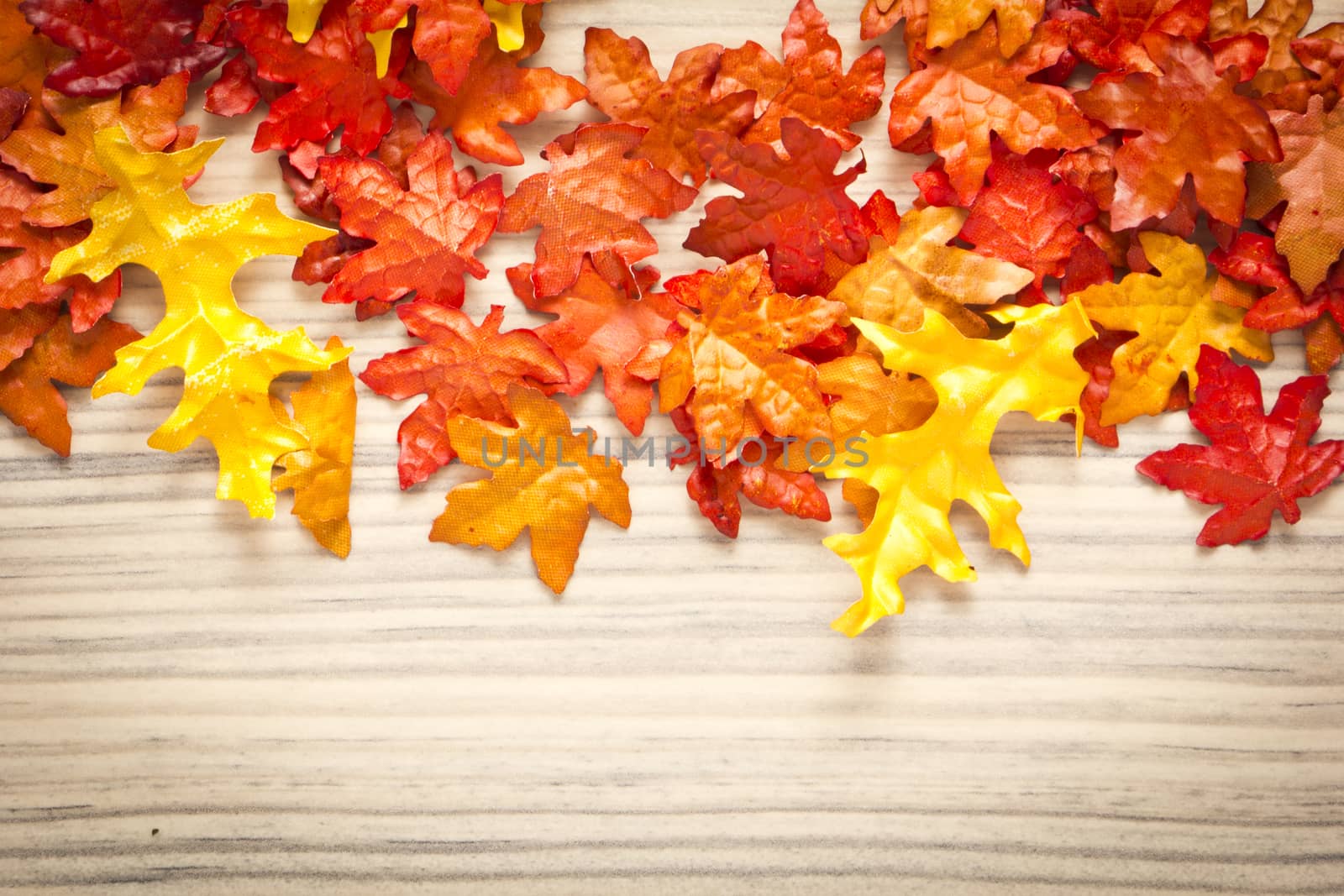 colorful leaves on a rustic wood background 