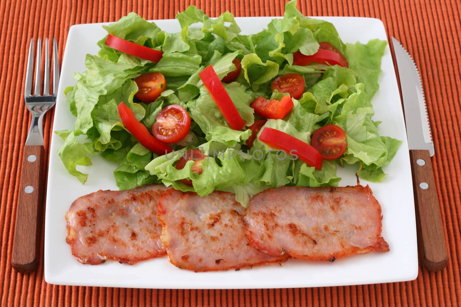 fried meat with salad by nataliamylova