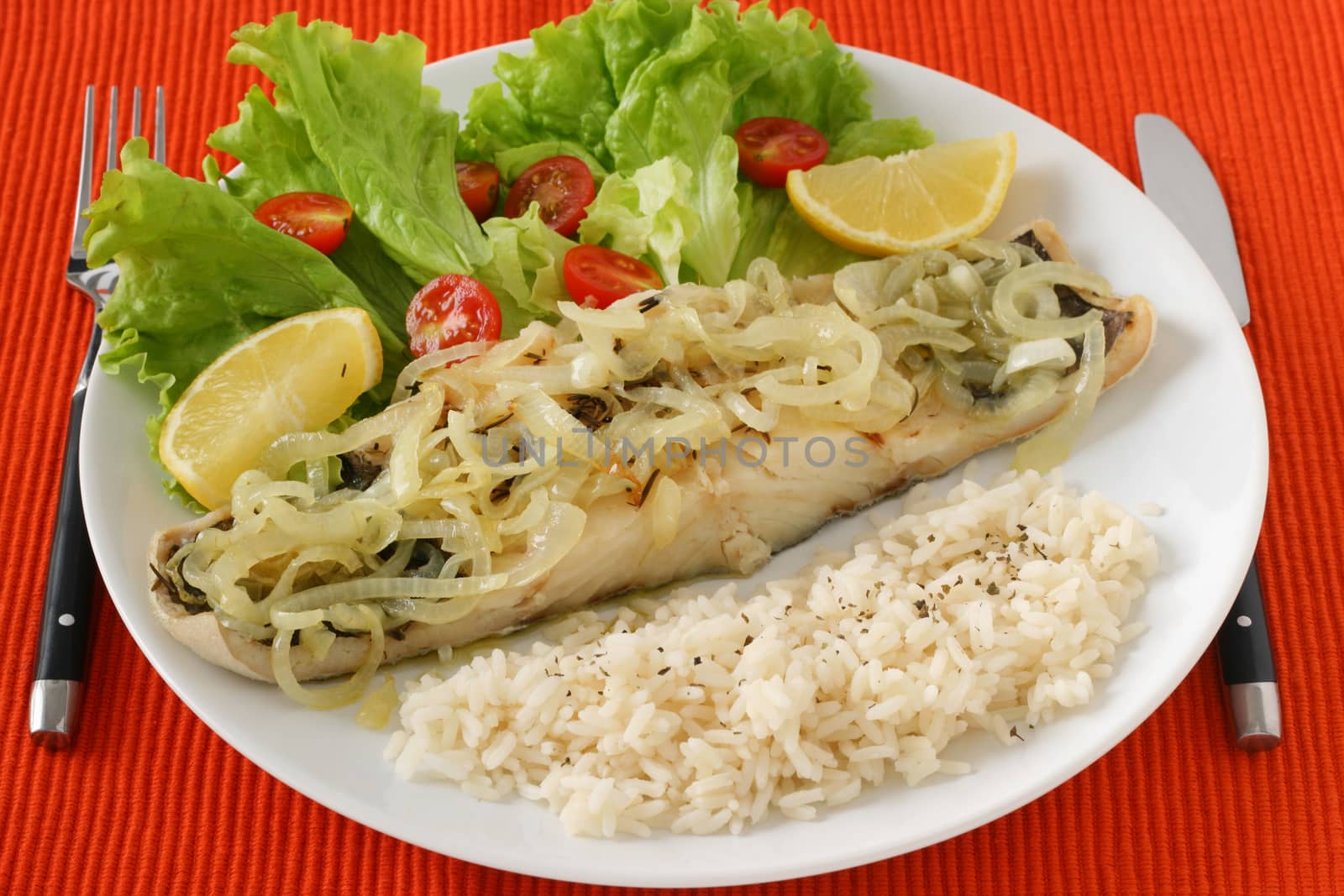 fried fish with salad and rice by nataliamylova
