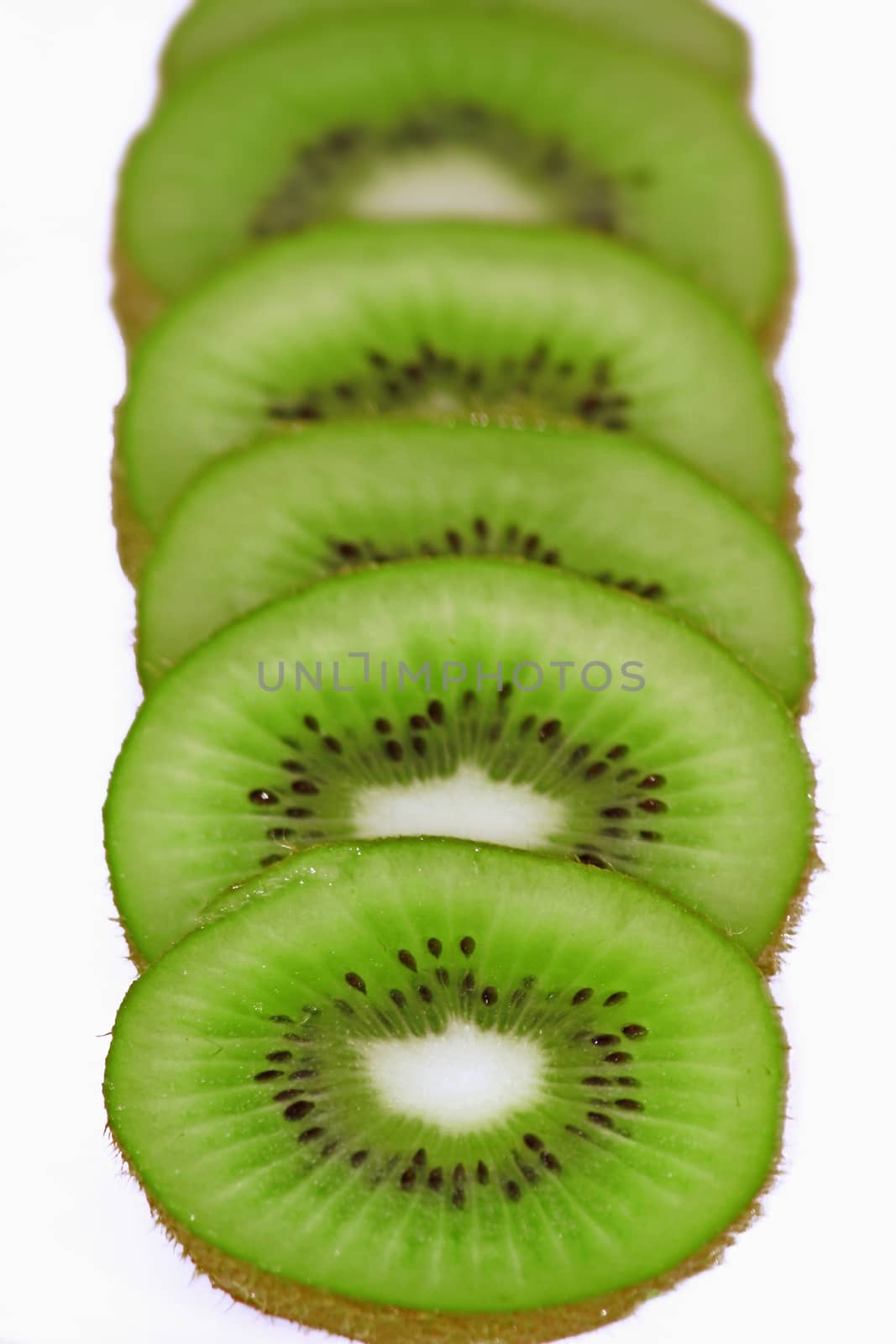 Actinidia deliciosa, Fuzzy Kiwifruit or mang��eyo is a fruiting vine.