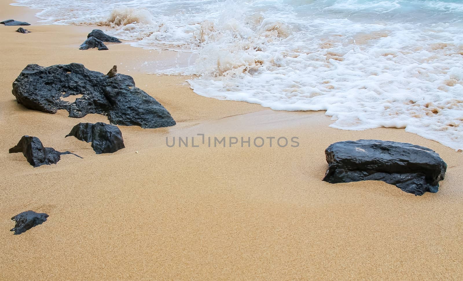 Volcanic rocks on the sands of Maui, Hawaii by Alexanderphoto