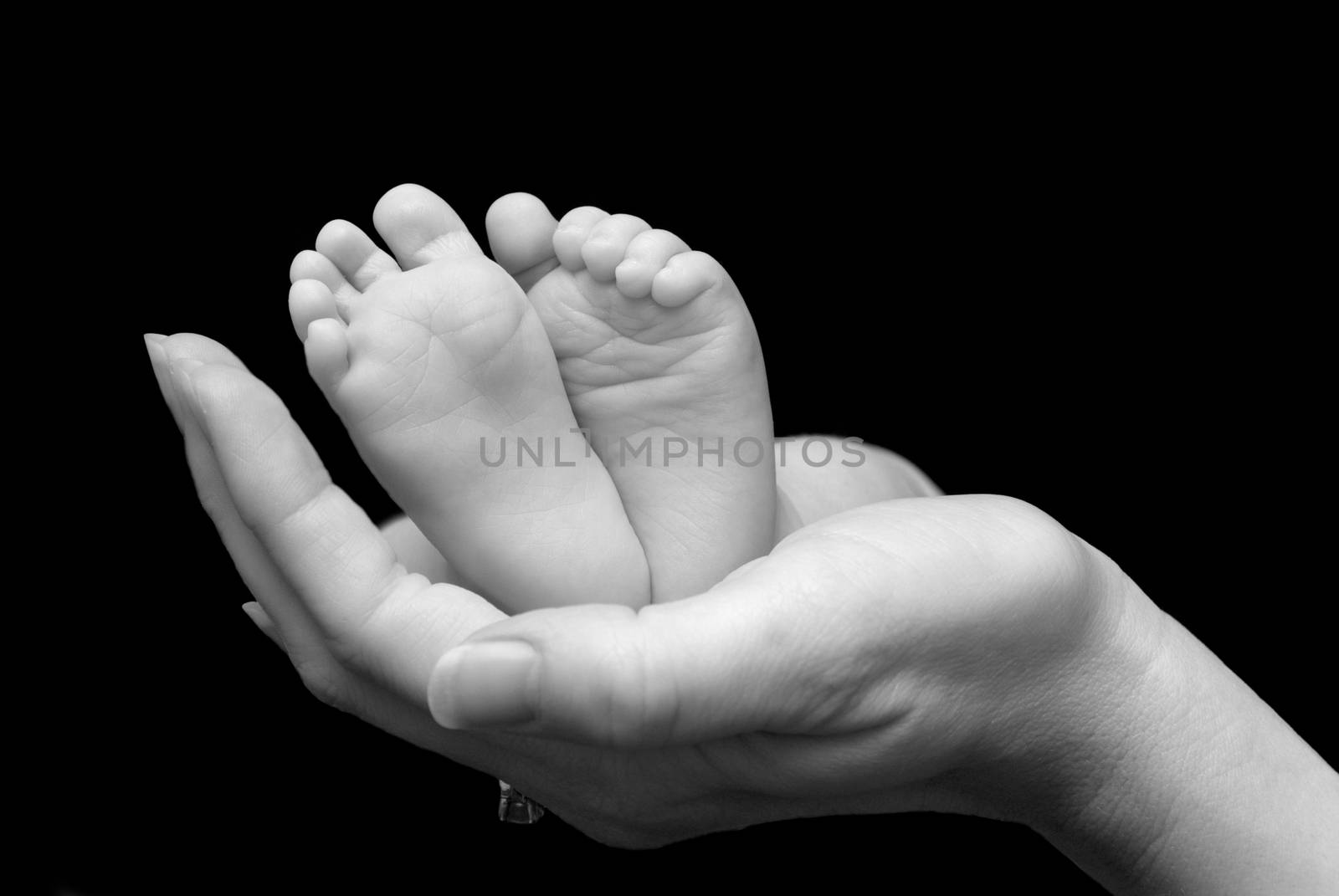 Five week old baby feet held in mothers hand.