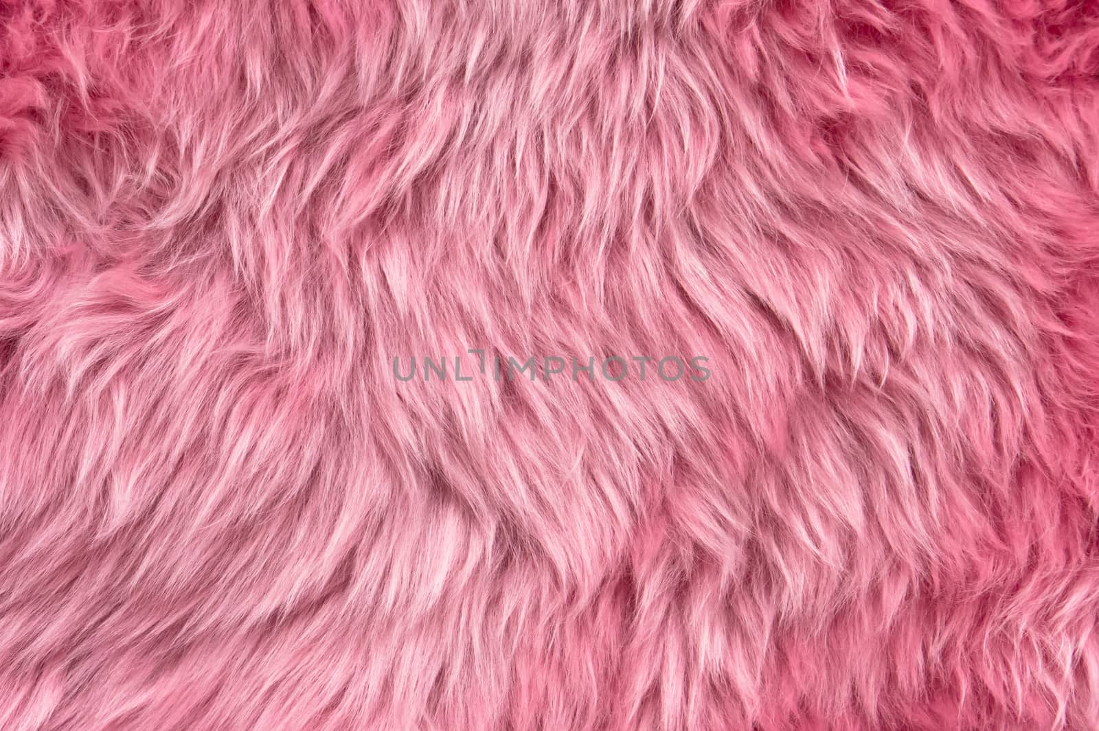 Close up of a pink dyed sheepskin rug as a background