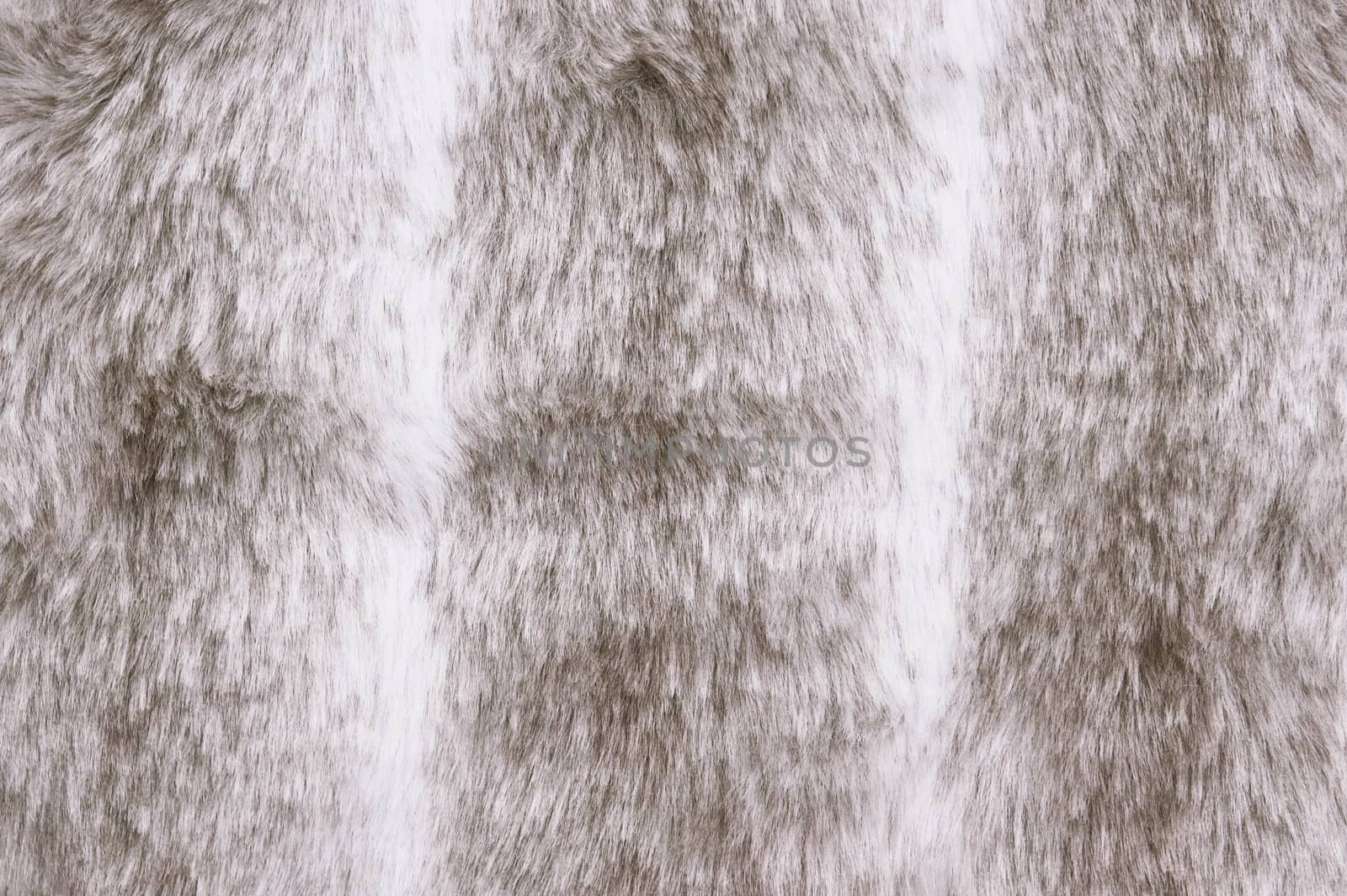 Grey and white fur background