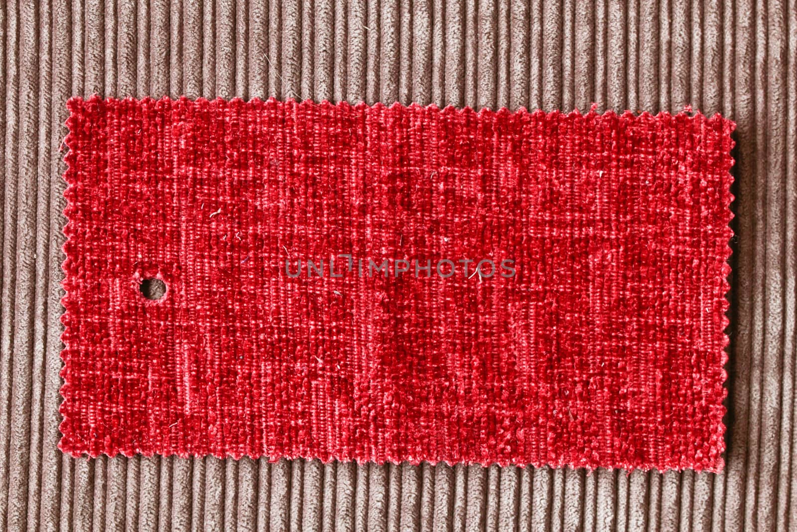 Fabric swatch by trgowanlock