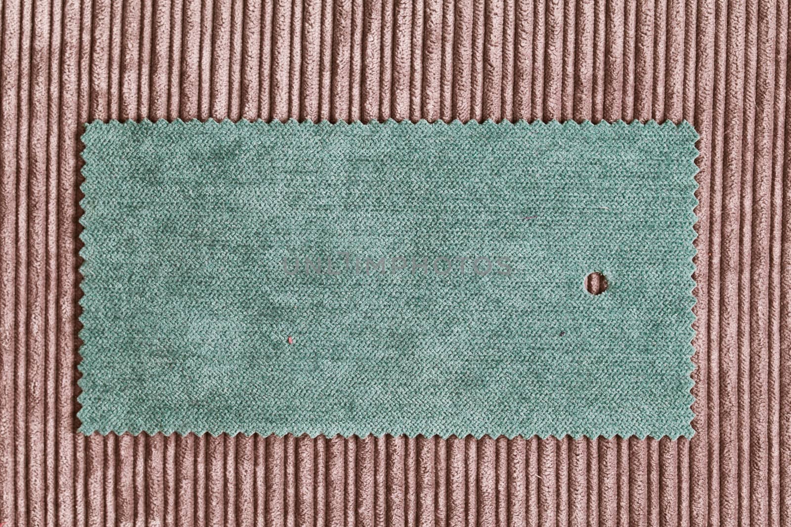 Fabric swatch by trgowanlock