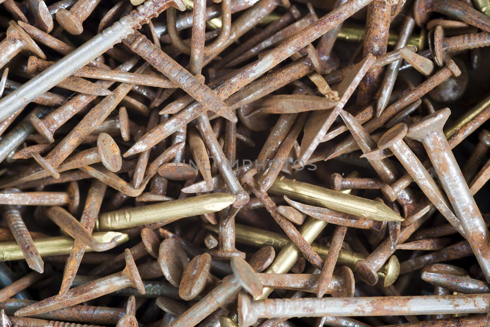 Detail of the old rusty nails
