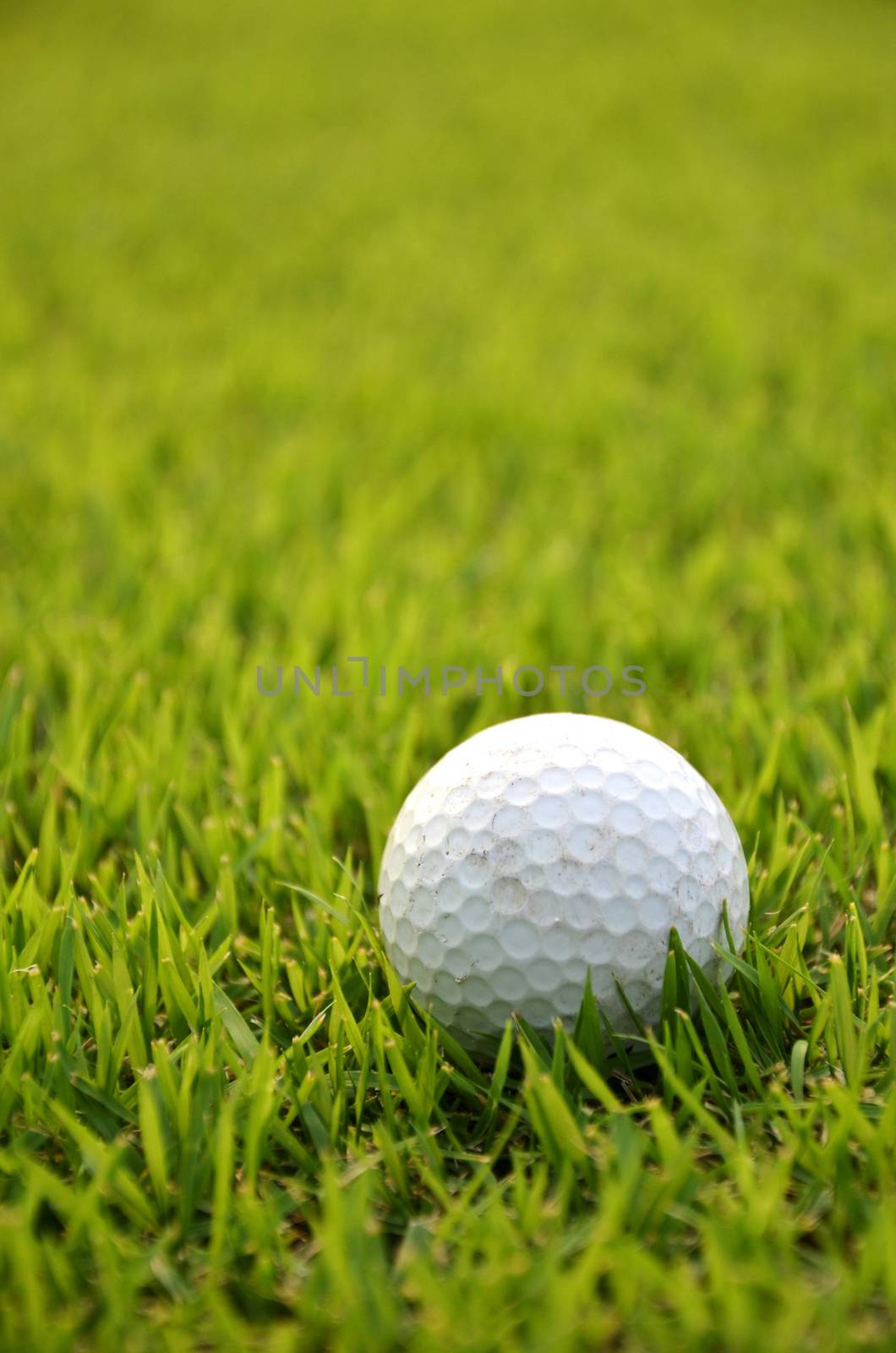 Dirty golf ball on the grass with green background
