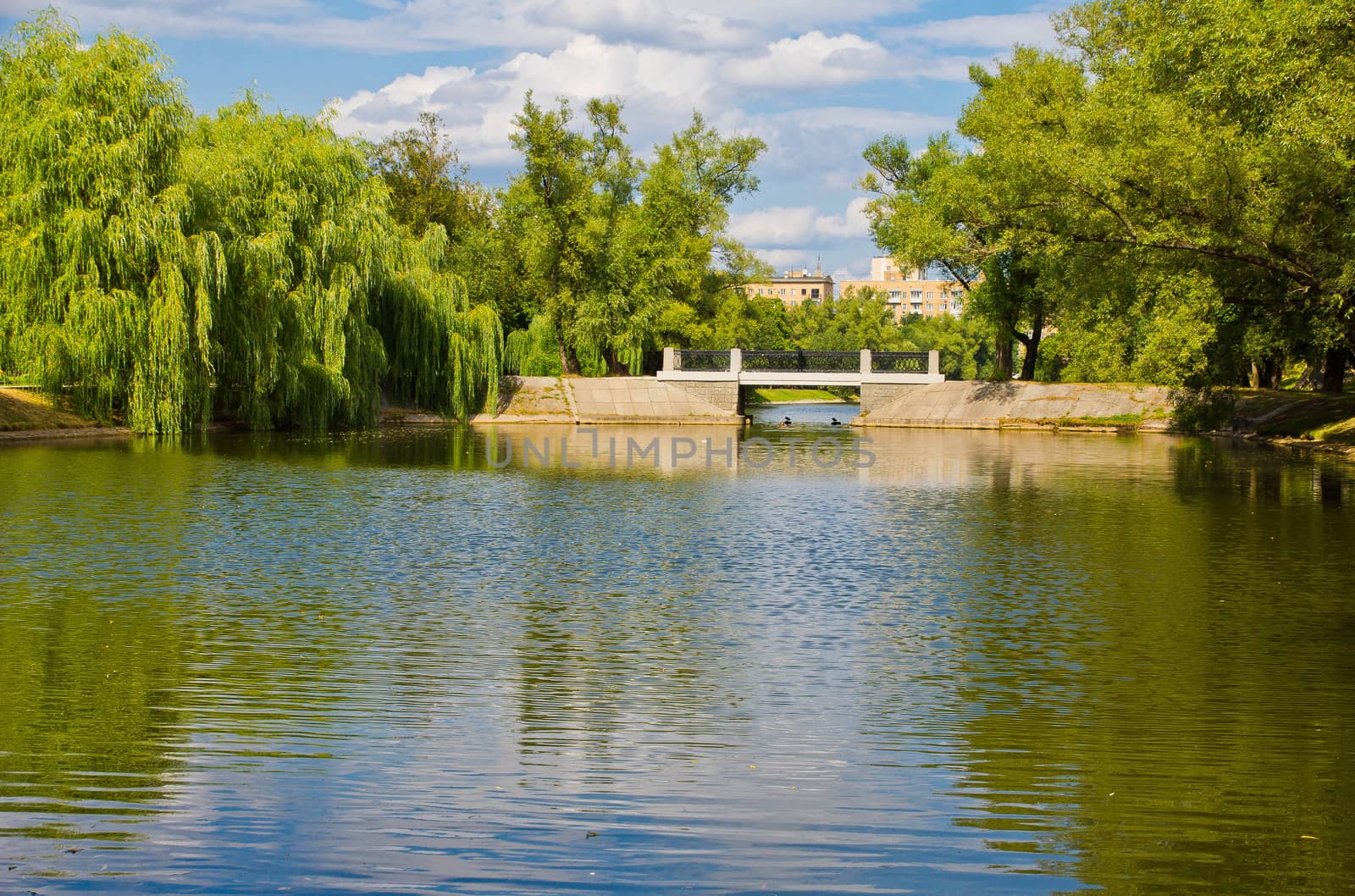 old bridge on the pond with trees on the shore