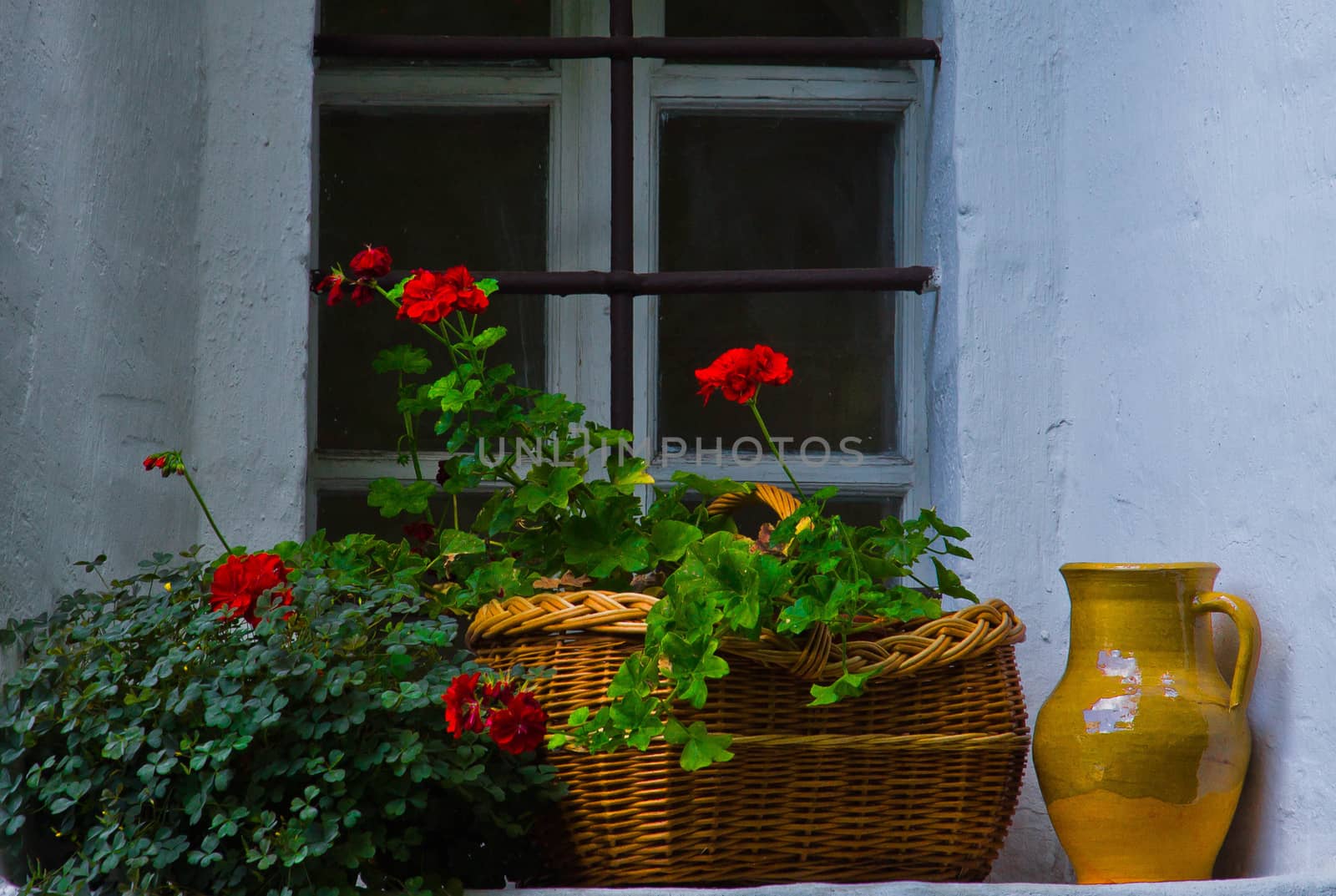 red flowers and jug on the windowsill