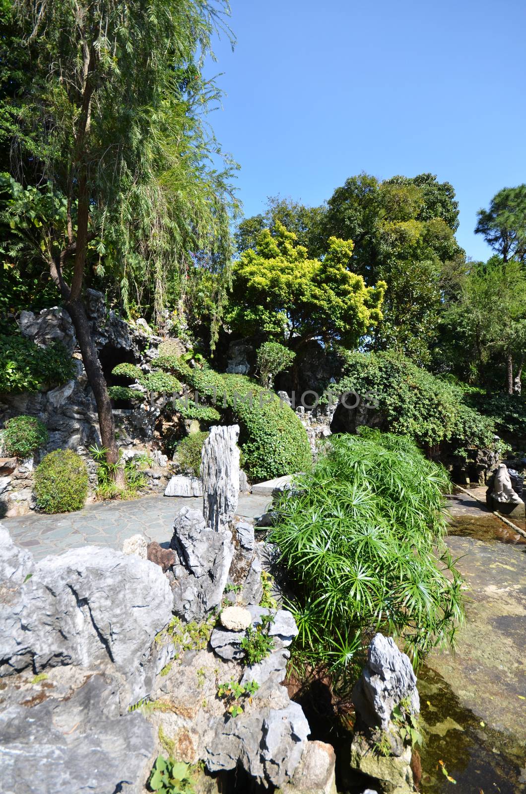 Walk path in the garden under the blue sky