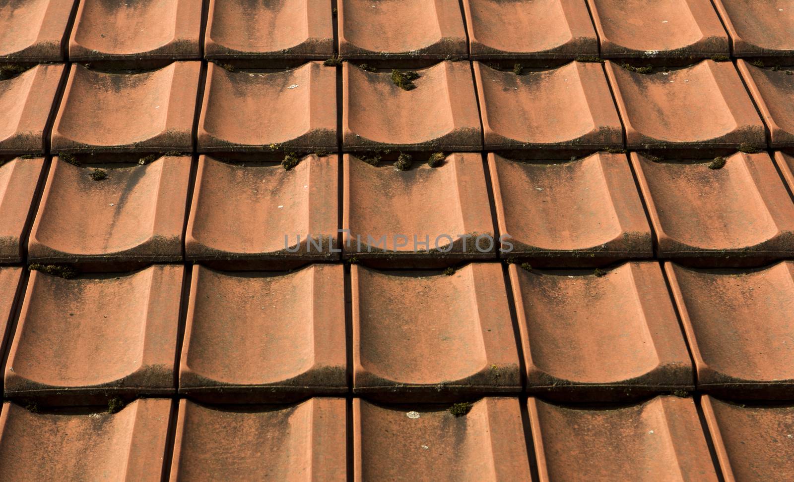 red roof tiles completely laid also be used as background