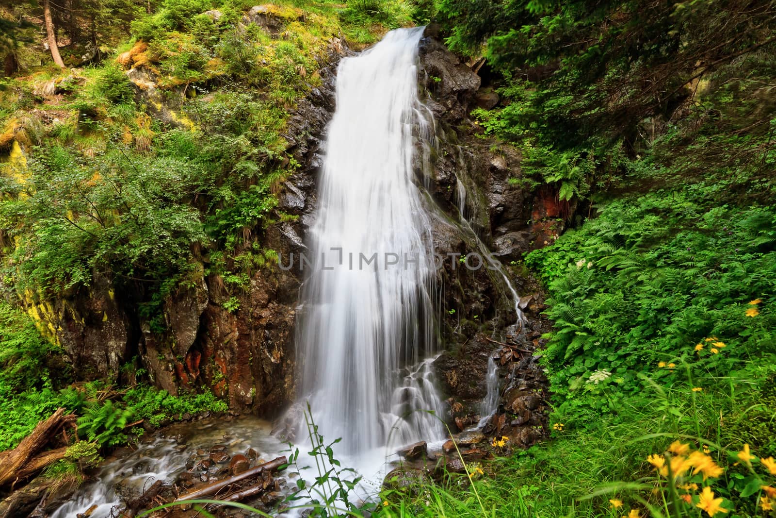 small waterfall in Vermiglio, Val di Sole, Trentino, Italy