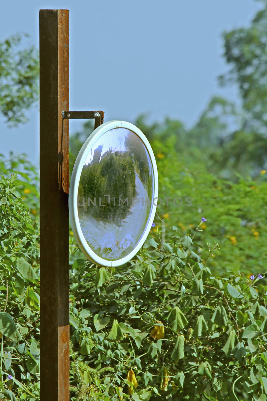 Outdoor Convex Mirror by yands