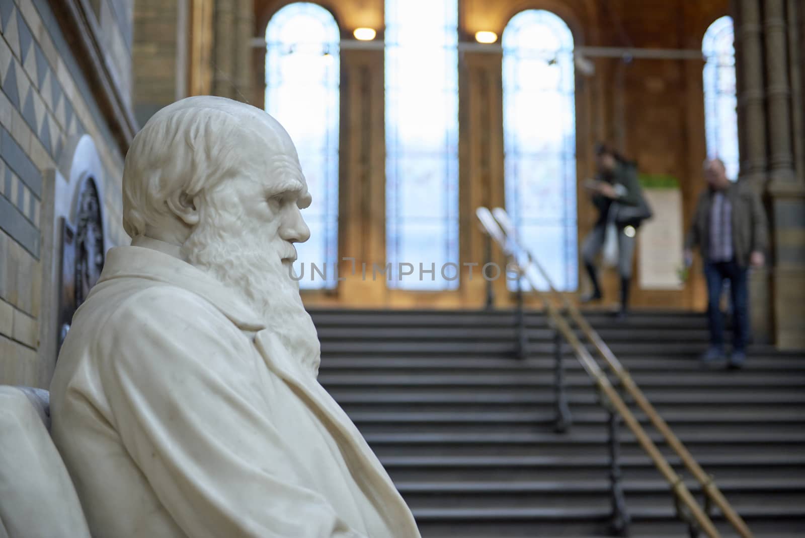 LONDON, UK - DECEMBER 11: Profile of Charles Darwin statue at the Natural History Museum. December 11, 2014 in London. 