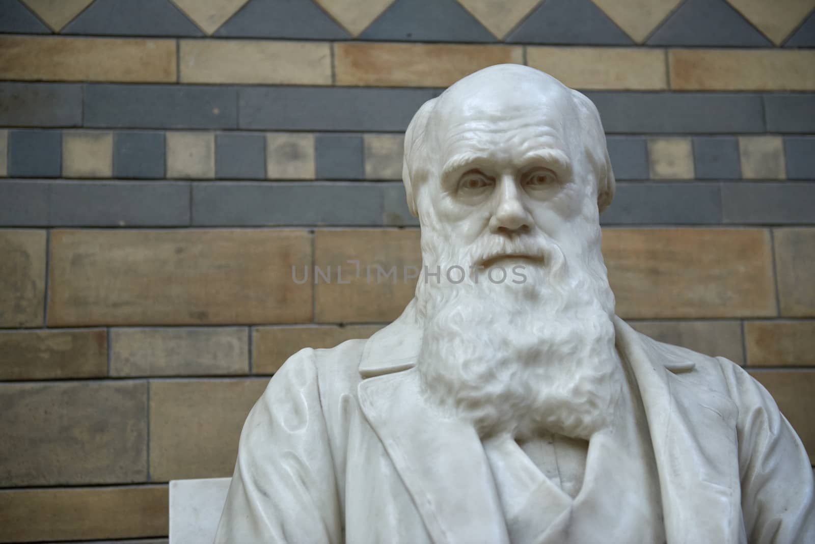 LONDON, UK - DECEMBER 11: Close up of Charles Darwin at the Natural History Museum. December 11, 2014 in London. 