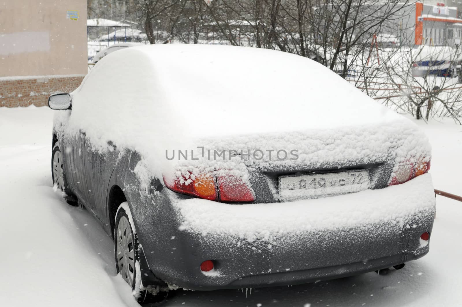 the car brought by snow are in the yard.