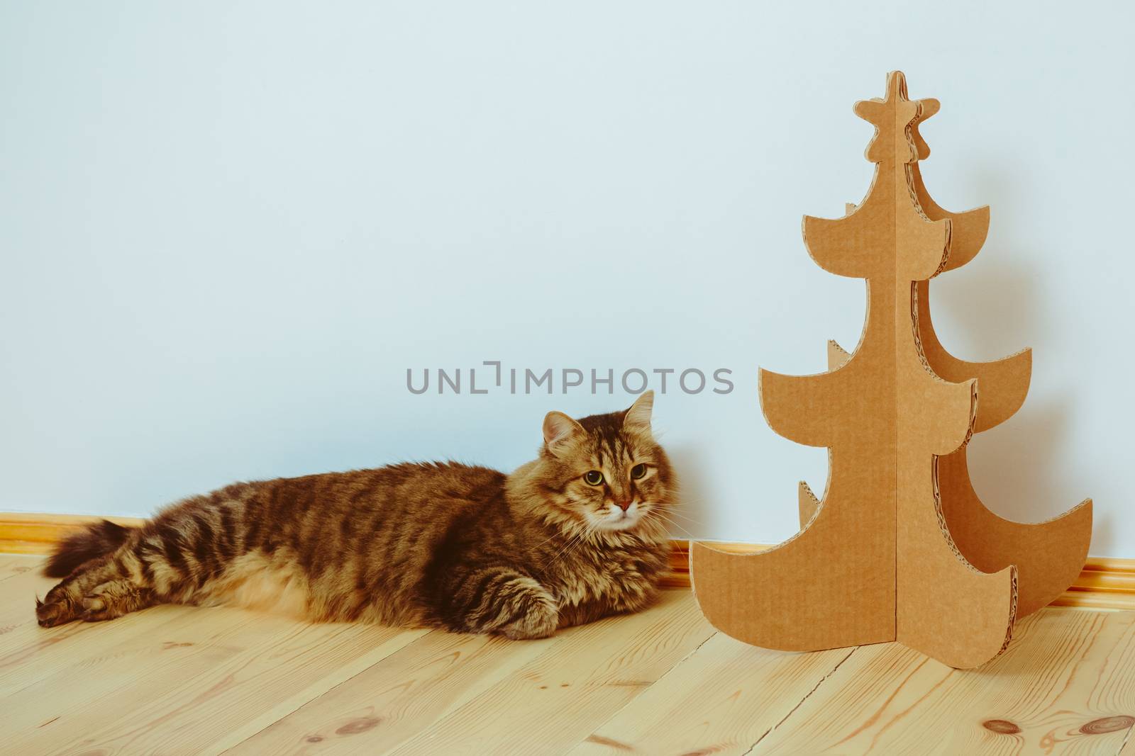 Christmas Tree Made Of Cardboard. Unique Trees. New Year