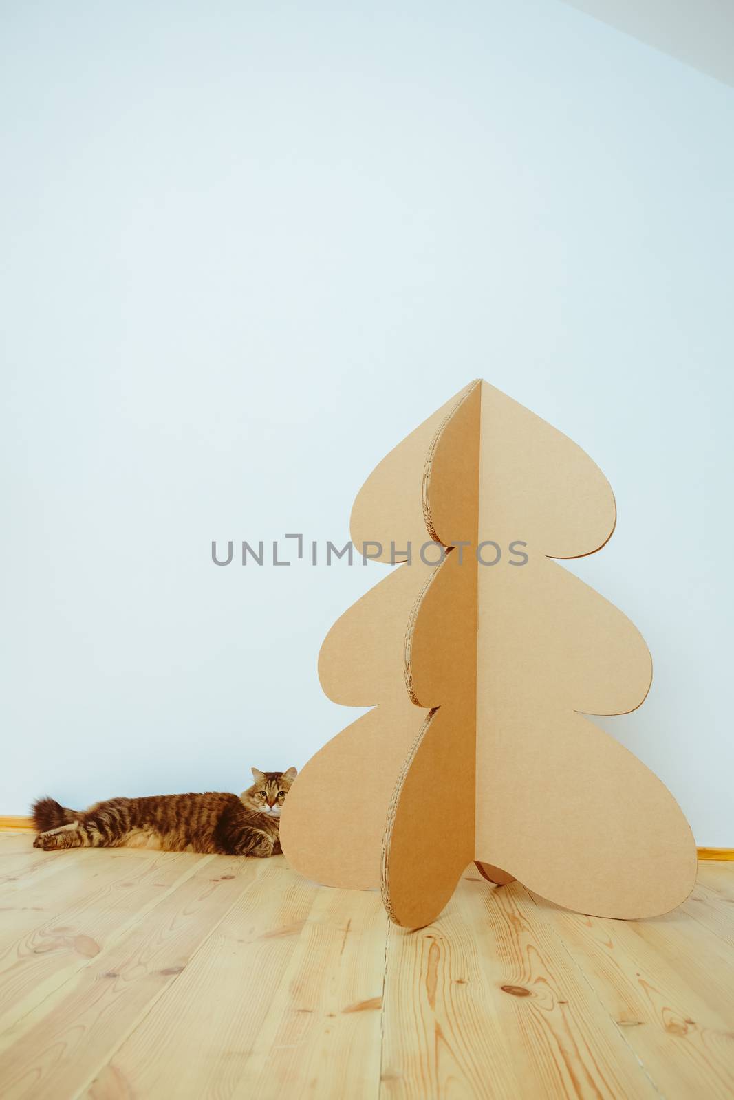 Christmas Tree Made Of Cardboard. Unique Trees. New Year