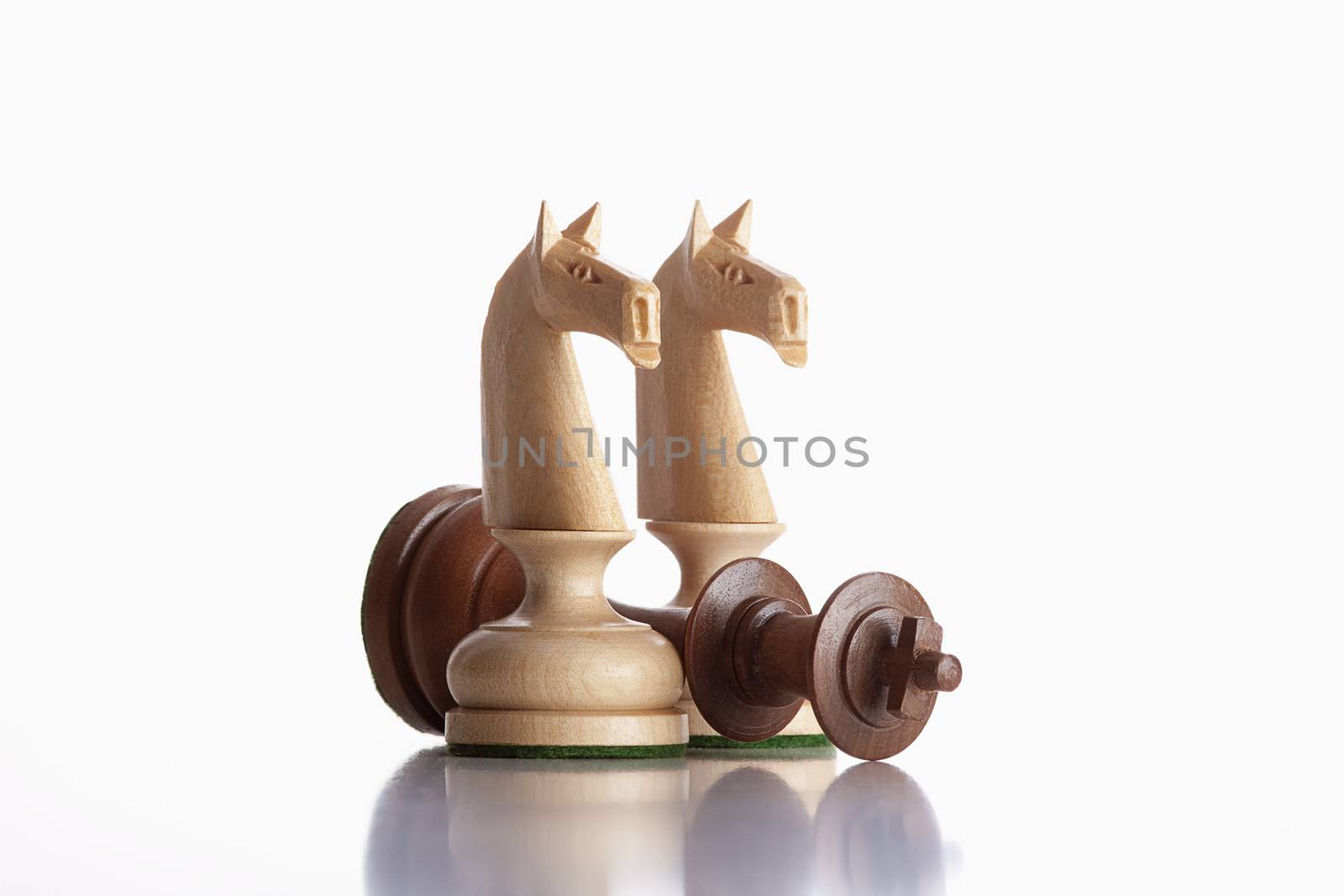 chess knights by courtyardpix