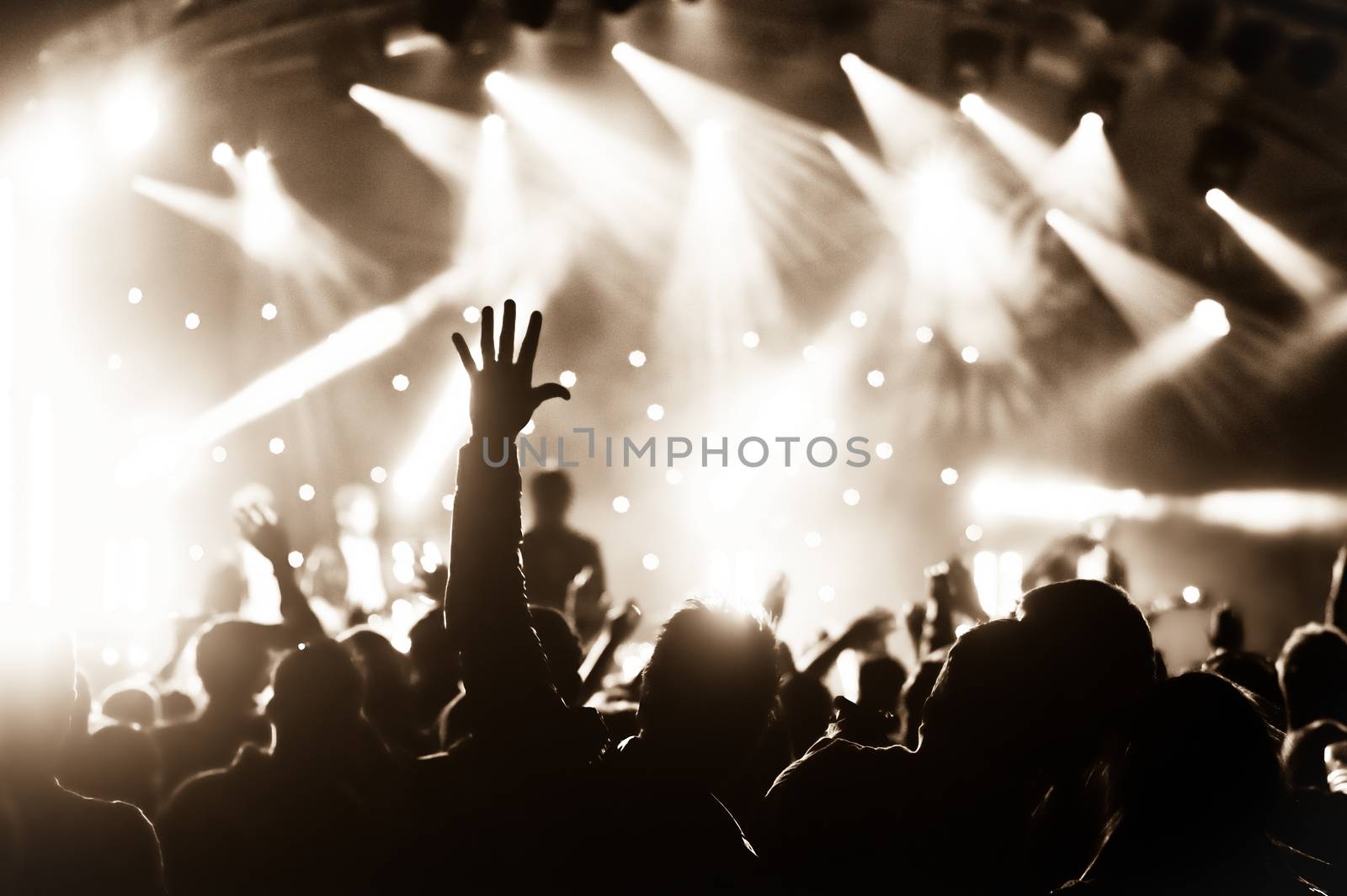 crowd cheering at a live music concert