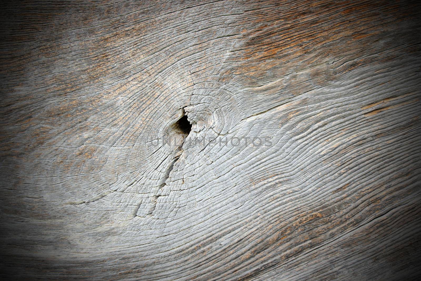 knot on old oak wood, beautiful texture of ancient construction material
