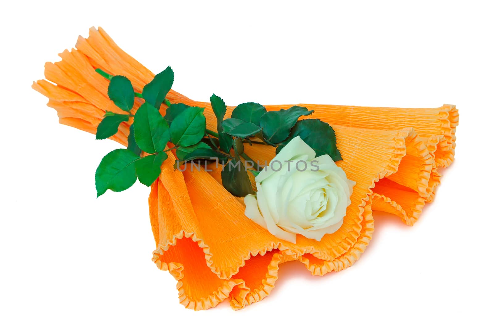 Beautiful white rose with green leaves. Presented on a white background.