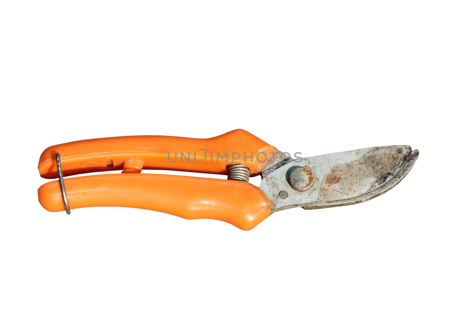 old orange rusty garden shears isolated over white background