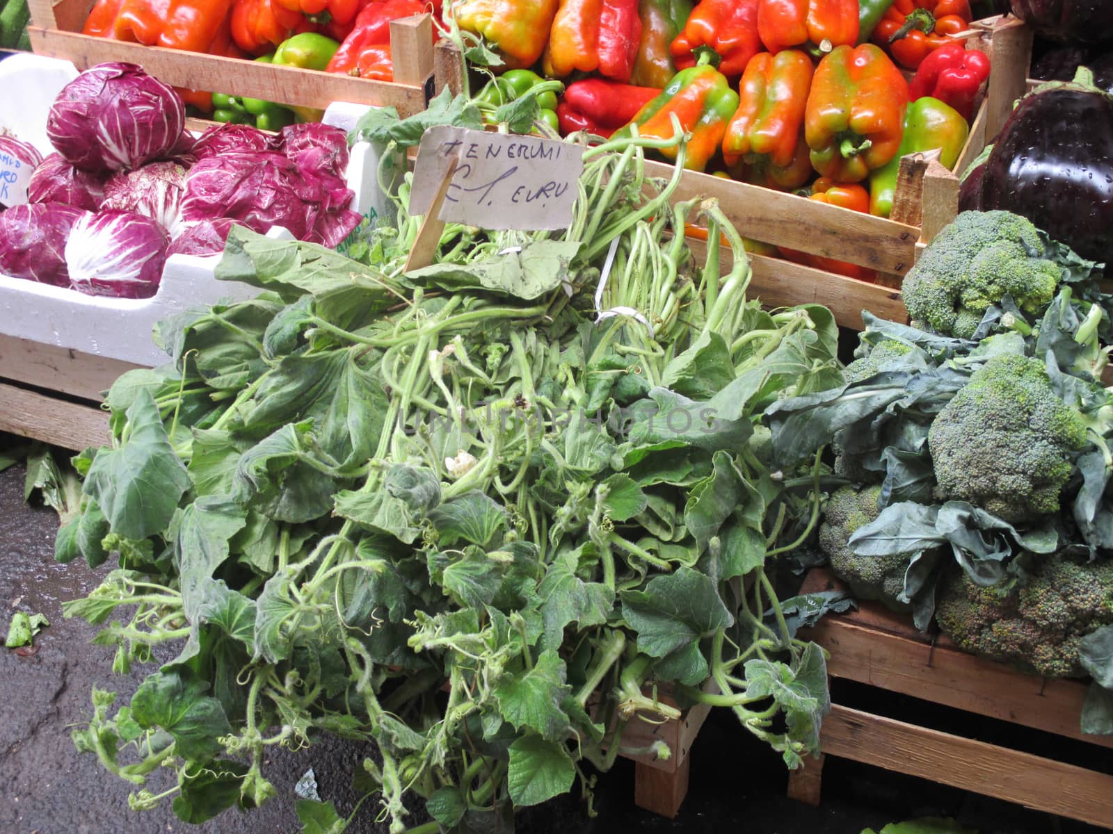 Beautiful fresh vegetables on the counter market