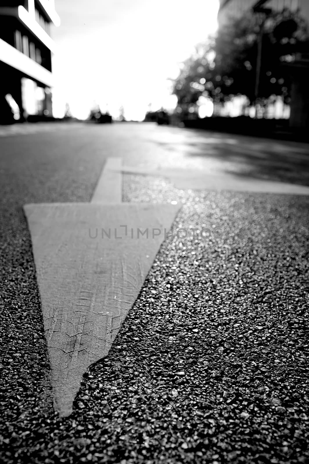 Arrow sign on the road by anderm