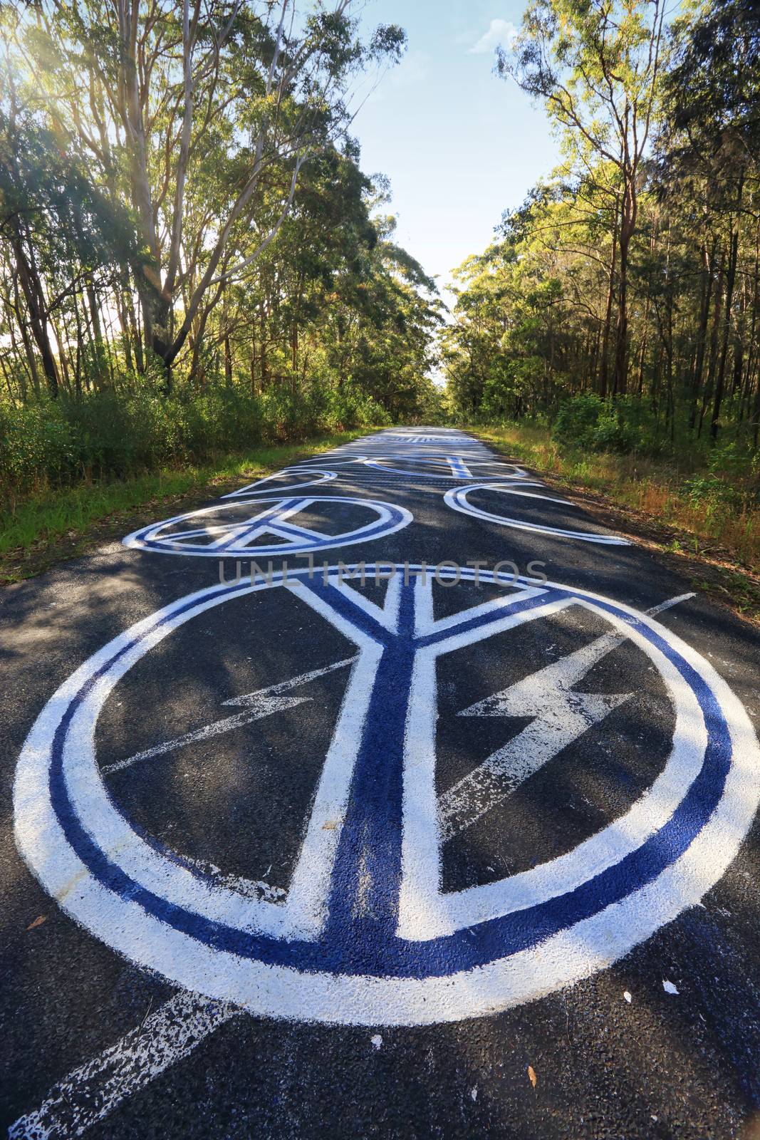 SEAL ROCKS, AUSTRALIA - NOVEMBER 29, 2014; The drive into the remote coastal town of  Seal Rocks you are confronted with magnificent peace signs unlawful grafitti painted largely and boldly on the road.  Seal Rocks is well known for its  peaceful resistance to attempts by developers to commercialise the small picturesque coastal village