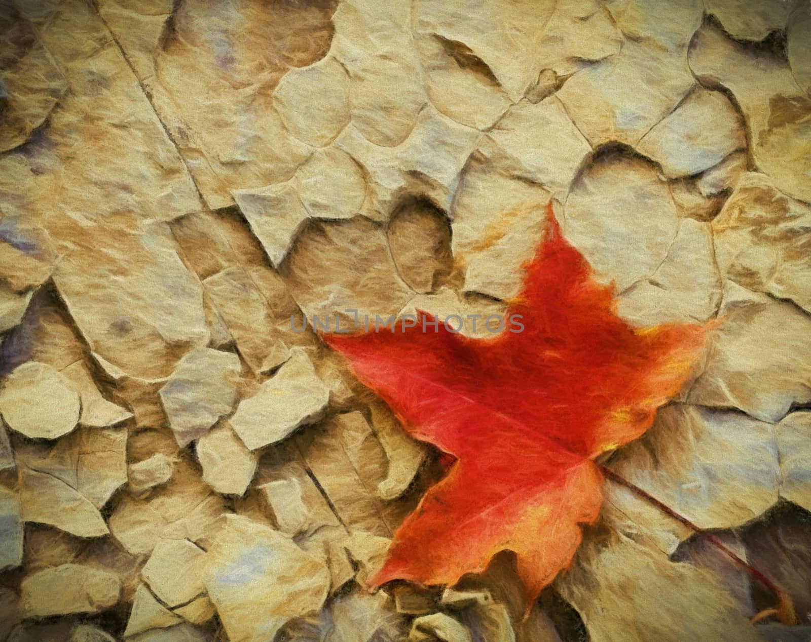 sketched colored maple leaf on cracked stone background