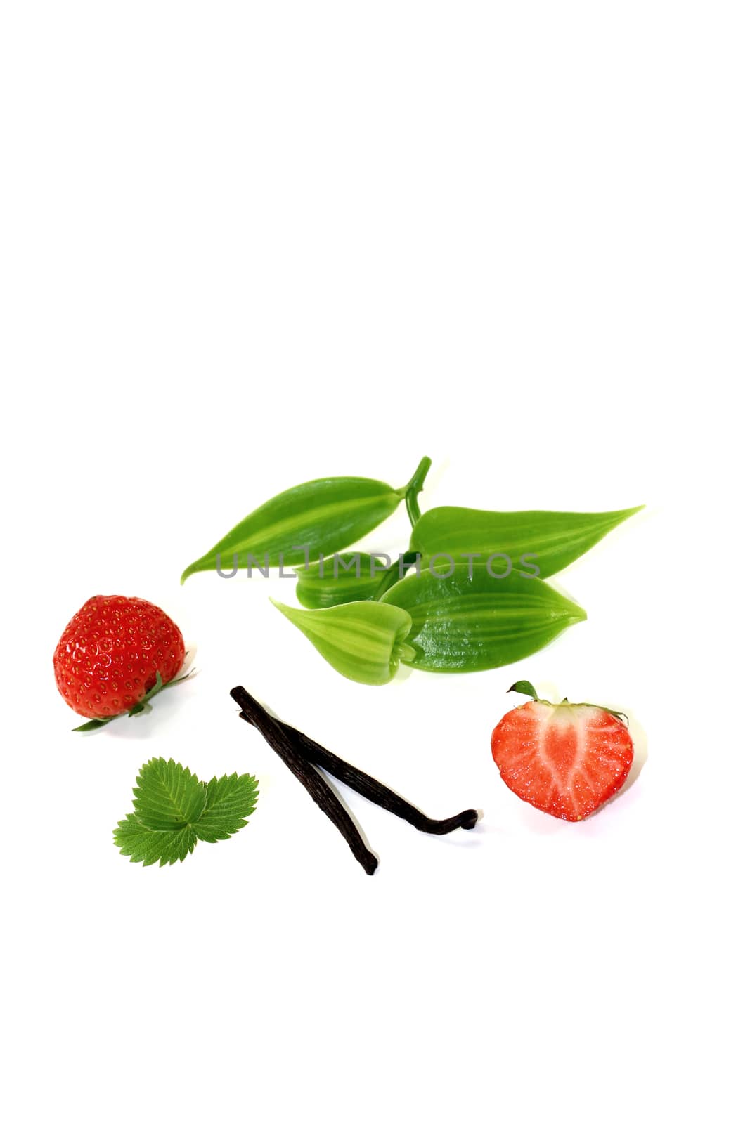 green Vanilla leaves with strawberries by discovery