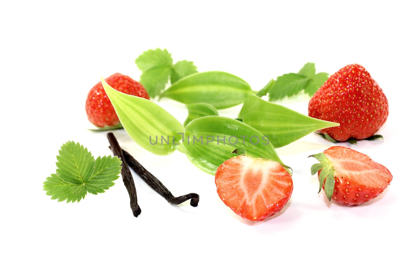 green Vanilla leaves with red strawberries on a light background