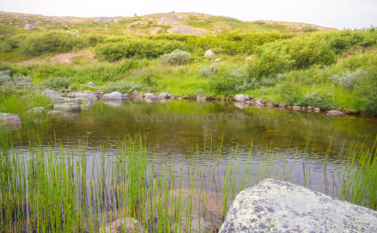 northern small river tundra site
